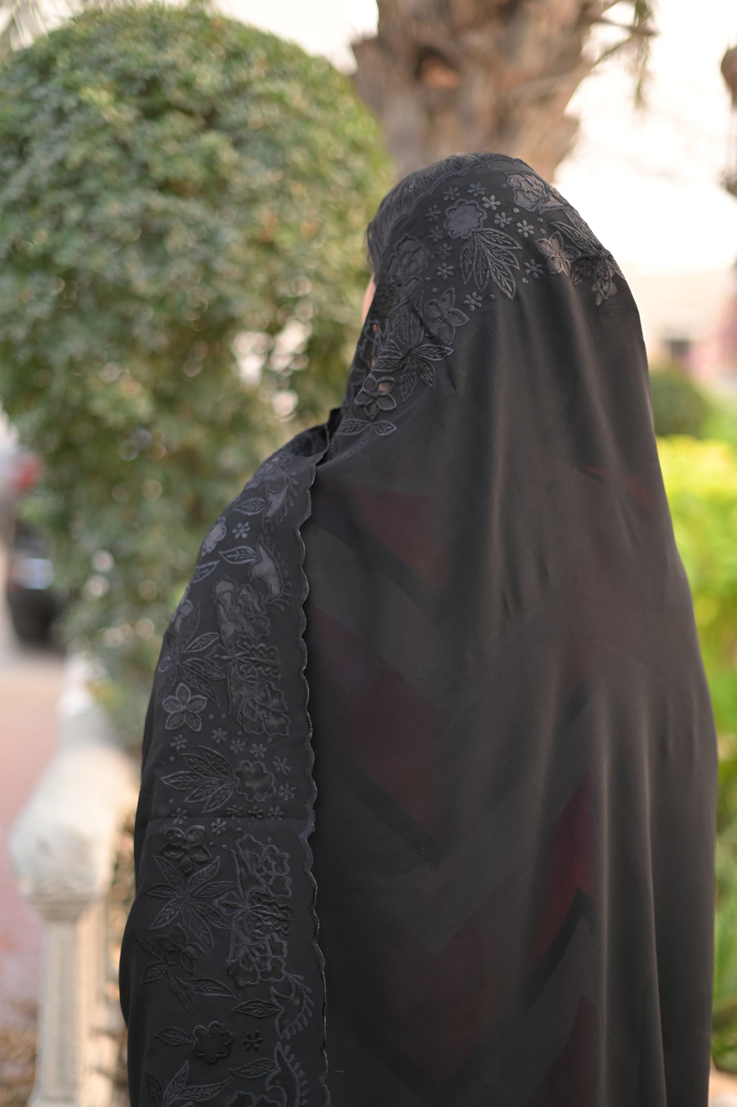 Black Pashmina Cutwork Shawl
