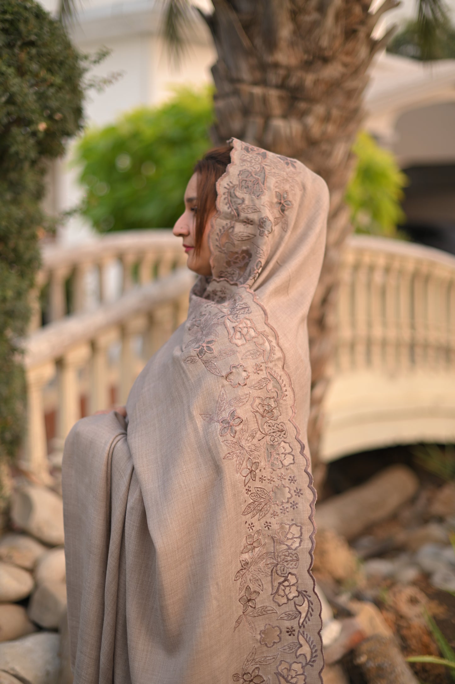 Beige Pashmina Cutwork Shawl
