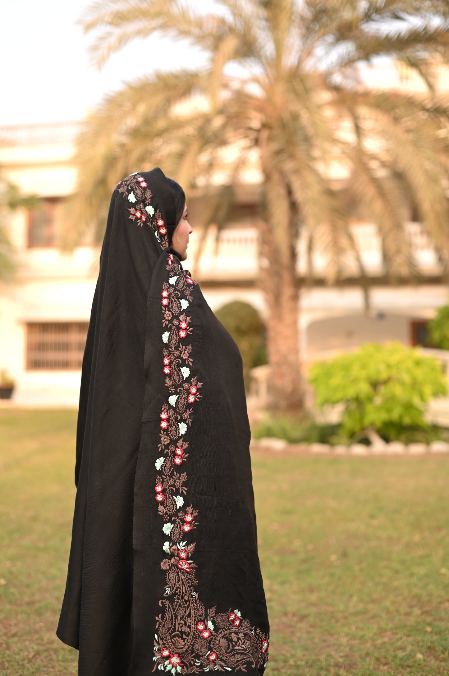 Black Pashmina Embroidered Shawl